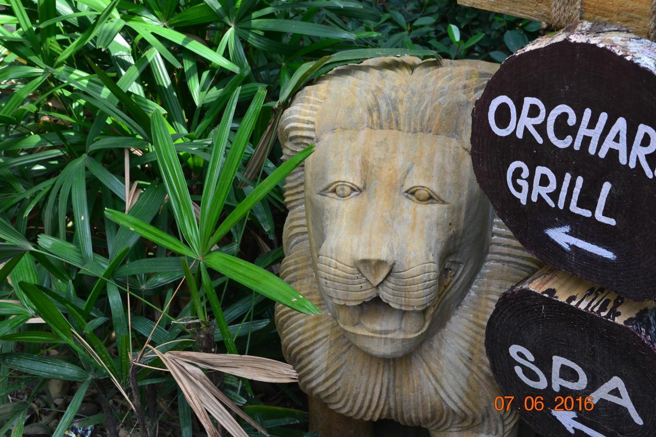 Corbett Wild Iris Spa And Resort Ramnagar  Exterior photo